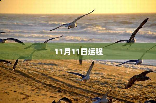 11月11日运程