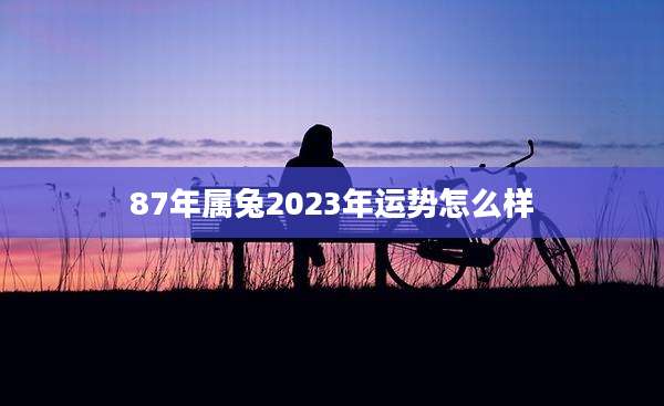 87年属兔2023年运势怎么样