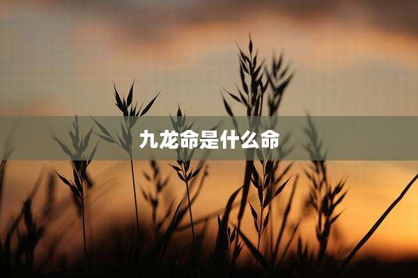 九龙命是什么命