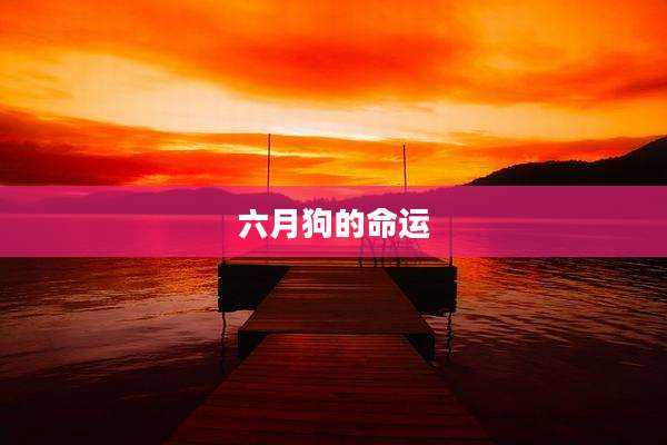 六月狗的命运