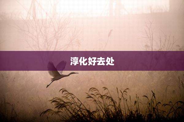 淳化好去处