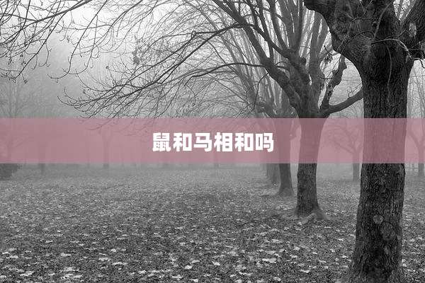 鼠和马相和吗