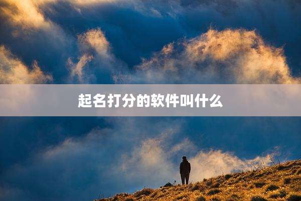 起名打分的软件叫什么