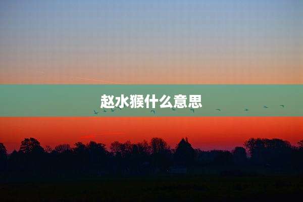 赵水猴什么意思
