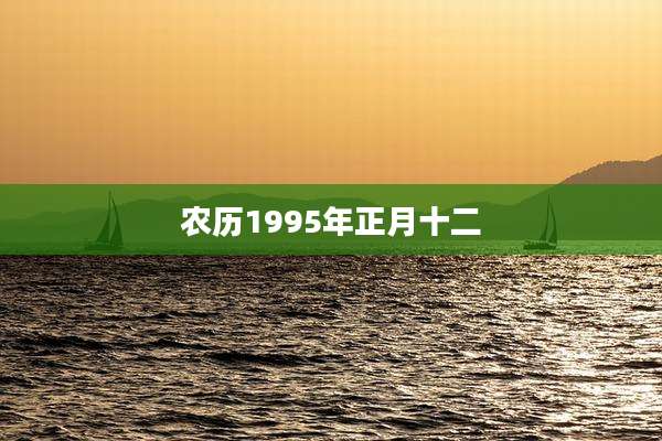 农历1995年正月十二