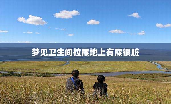 梦见卫生间拉屎地上有屎很脏