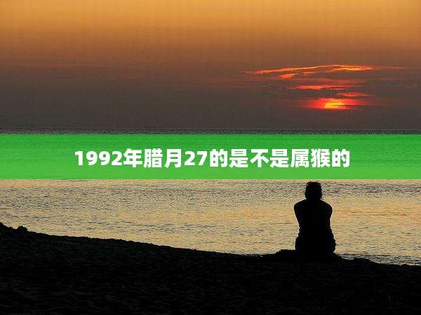 1992年腊月27的是不是属猴的