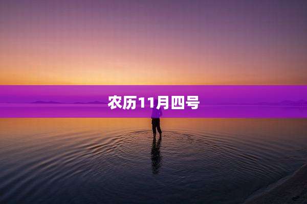 农历11月四号