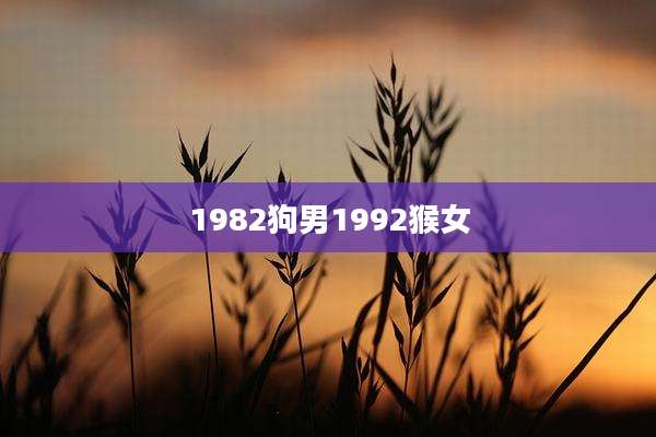 1982狗男1992猴女