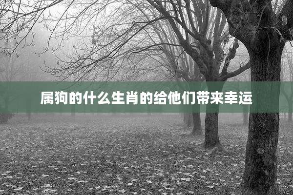 属狗的什么生肖的给他们带来幸运