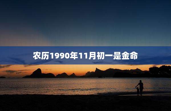 农历1990年11月初一是金命