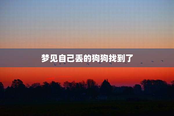 梦见自己丢的狗狗找到了