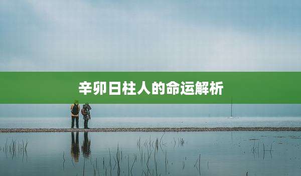 辛卯日柱人的命运解析