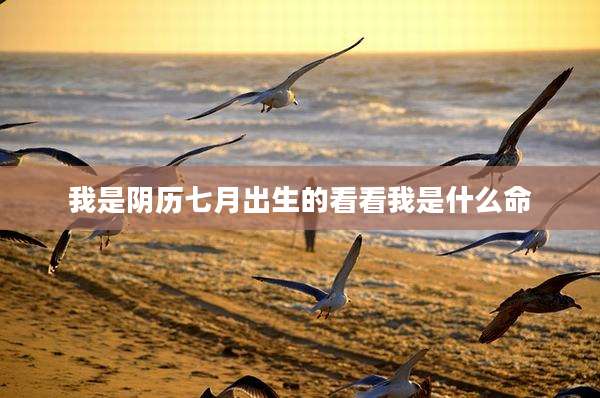 我是阴历七月出生的看看我是什么命