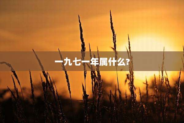 一九七一年属什么?