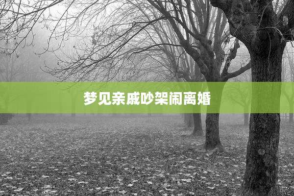 梦见亲戚吵架闹离婚