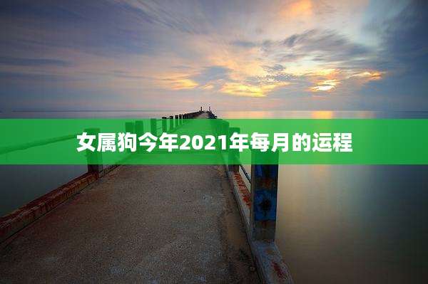 女属狗今年2021年每月的运程
