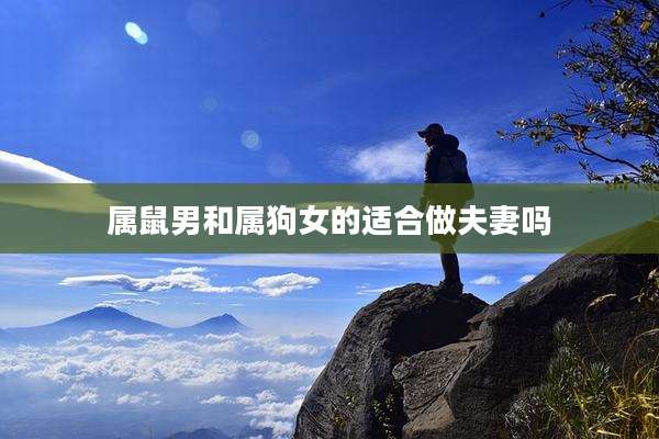 属鼠男和属狗女的适合做夫妻吗