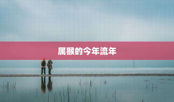 属猴的今年流年