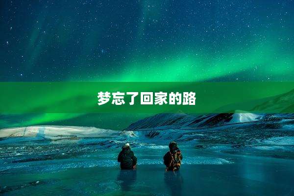 梦忘了回家的路