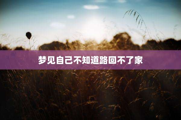 梦见自己不知道路回不了家