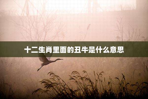 十二生肖里面的丑牛是什么意思