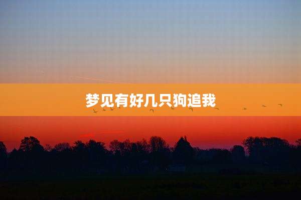 梦见有好几只狗追我