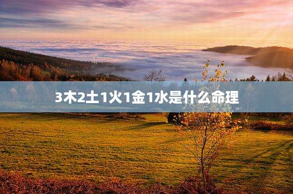 3木2土1火1金1水是什么命理