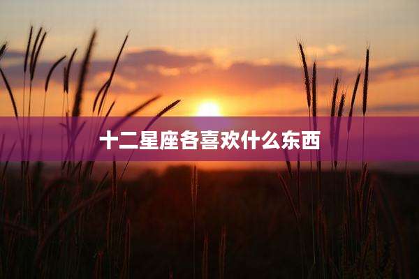 十二星座各喜欢什么东西