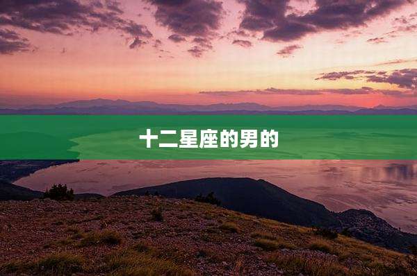 十二星座的男的