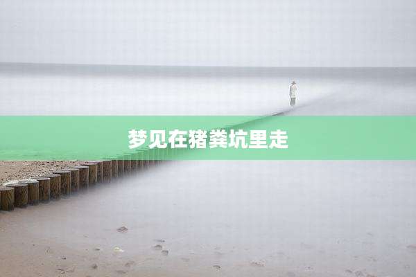 梦见在猪粪坑里走