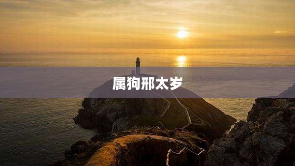 属狗邢太岁