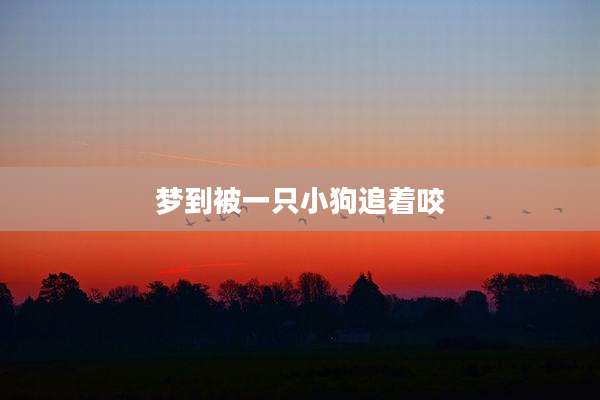梦到被一只小狗追着咬