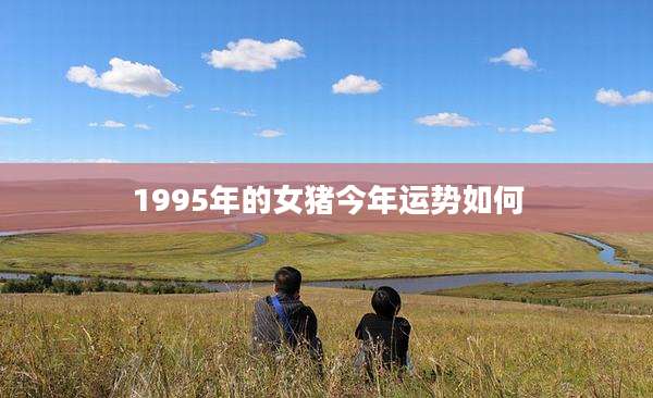1995年的女猪今年运势如何