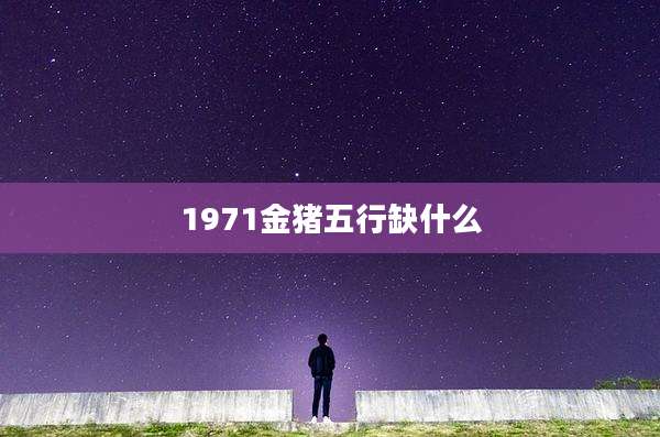 1971金猪五行缺什么