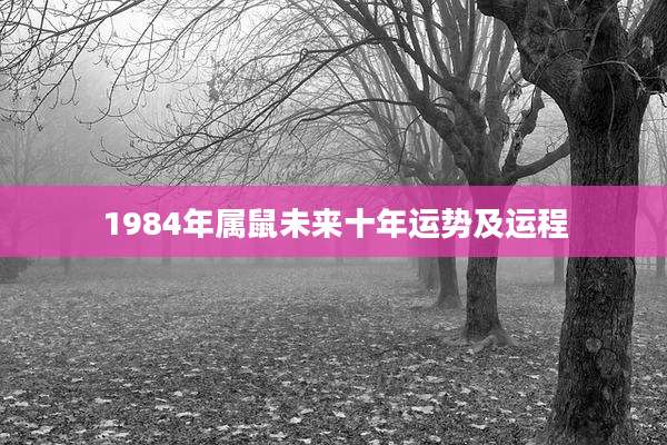 1984年属鼠未来十年运势及运程