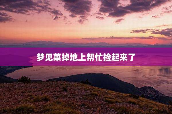 梦见菜掉地上帮忙捡起来了