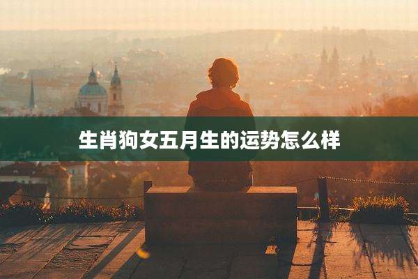 生肖狗女五月生的运势怎么样