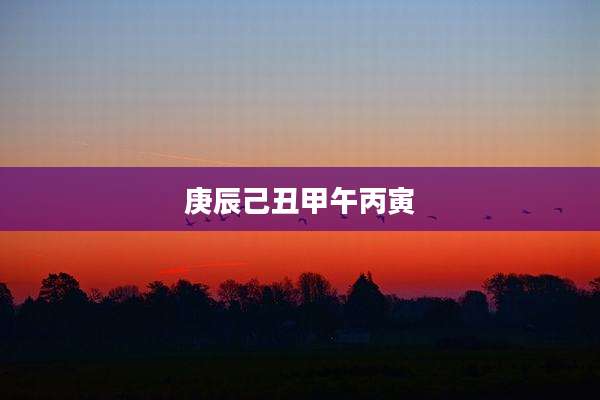 庚辰己丑甲午丙寅