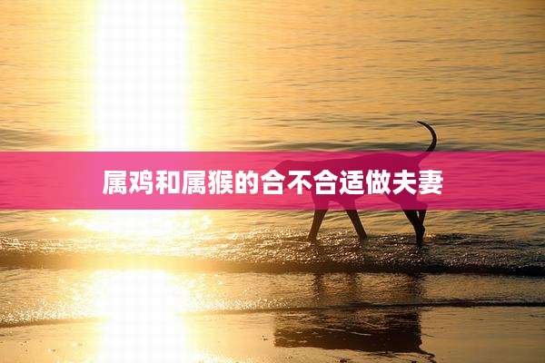 属鸡和属猴的合不合适做夫妻