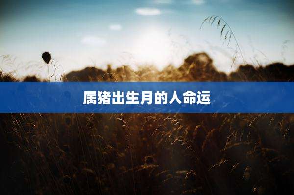 属猪出生月的人命运