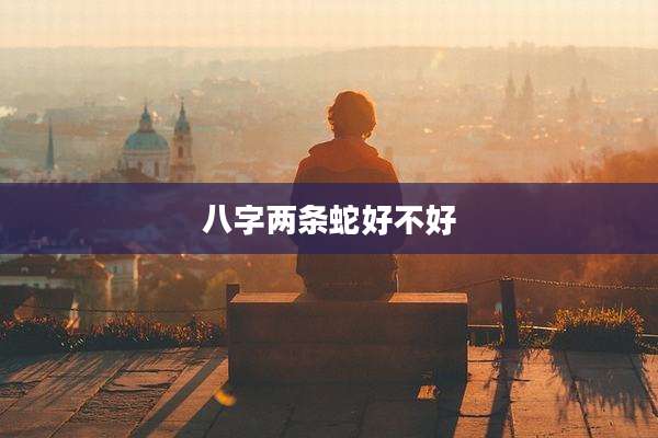 八字两条蛇好不好