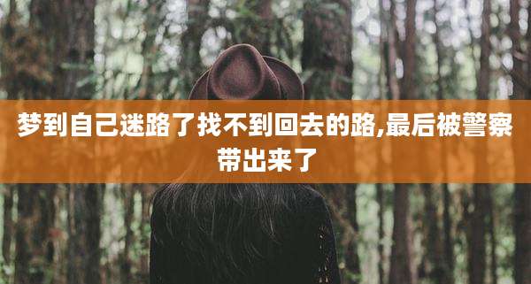 梦到自己迷路了找不到回去的路,最后被警察带出来了