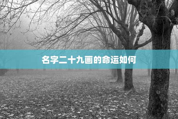 名字二十九画的命运如何