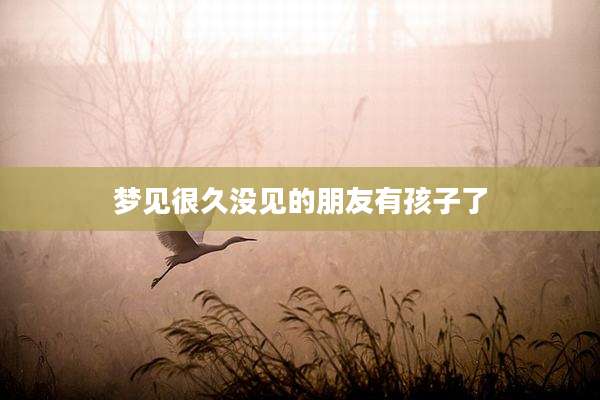 梦见很久没见的朋友有孩子了