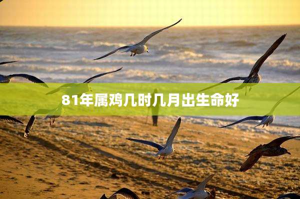 81年属鸡几时几月出生命好