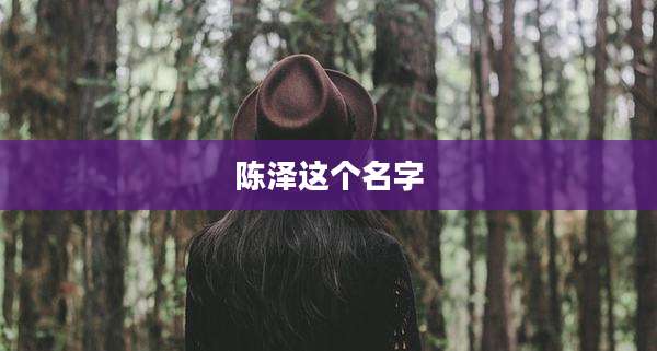 陈泽这个名字