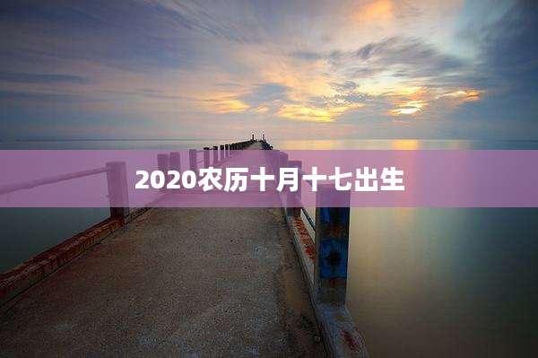 2020农历十月十七出生