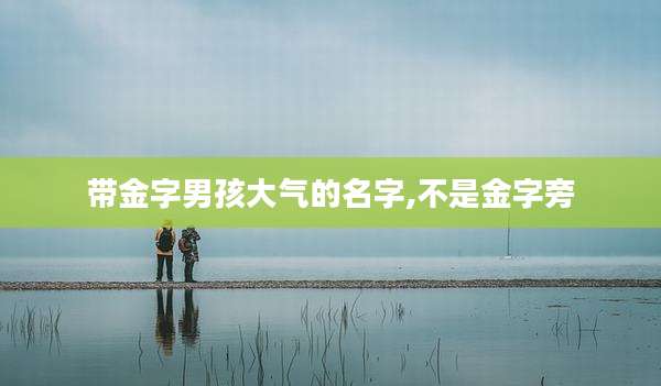 带金字男孩大气的名字,不是金字旁