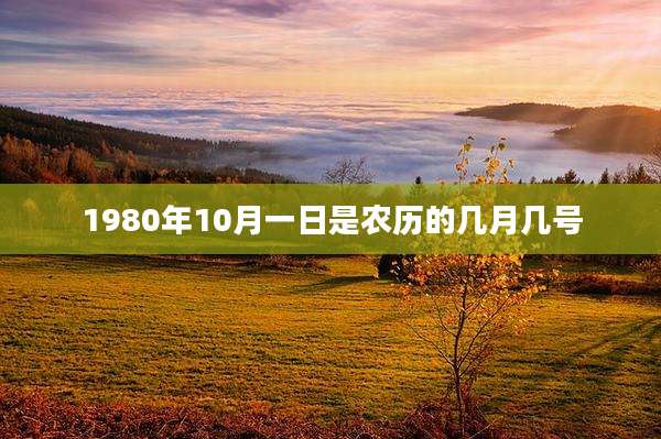 1980年10月一日是农历的几月几号